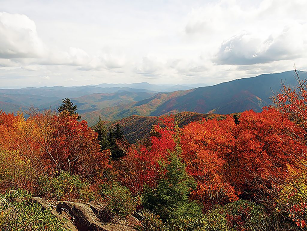 Bright red foliage stands out against a mountain landscape.
