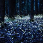 Bright yellow, green and blue squiggles of lightweave through a dark, forest floor.