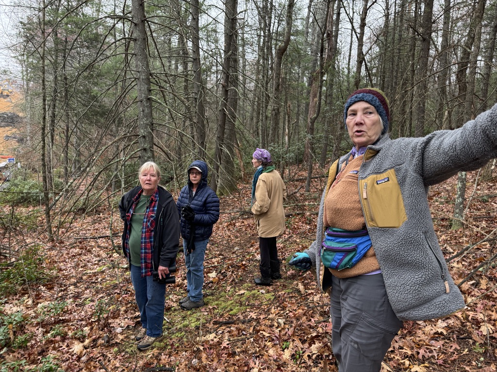 10 New Spider Species Discovered in Appalachia > Appalachian Voices