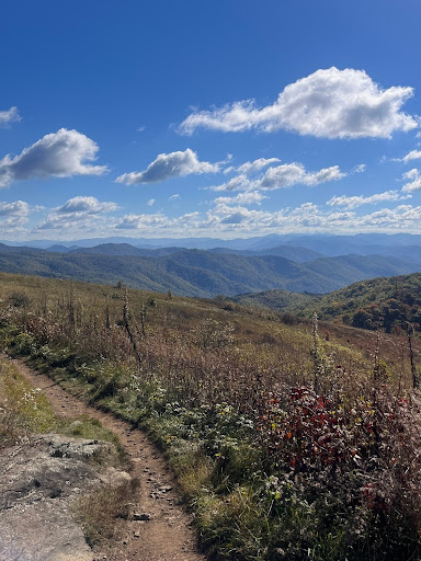 Wild vegetation grows along a well-worn trail at the top of a grassy bald. White clouds dot a blue sky above a view of mountain ranges extending to the horizon.