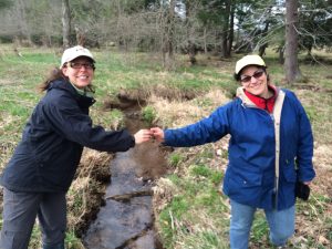 Citizens work to restore West Virginia's historic forests, which were once dominated by the towering red spruce. Photo courtesy of The Nature Conservancy.