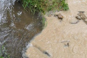 Water flowing from one of the discharge points where Frasure Creek Mining was turning in false water monitoring reports. Floyd County, Ky.