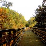 Autumn colors emerge along this bike-friendly wooden bridge. Photo courtesy of the Dawkins Line Rail Trail