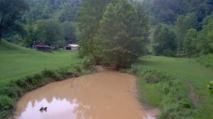 Meathouse Fork in W.Va., below the Stonewall Gathering Pipeline construction zone. Photo by Michael Barrick; courtesy Dominion Pipeline Monitoring Coalition.