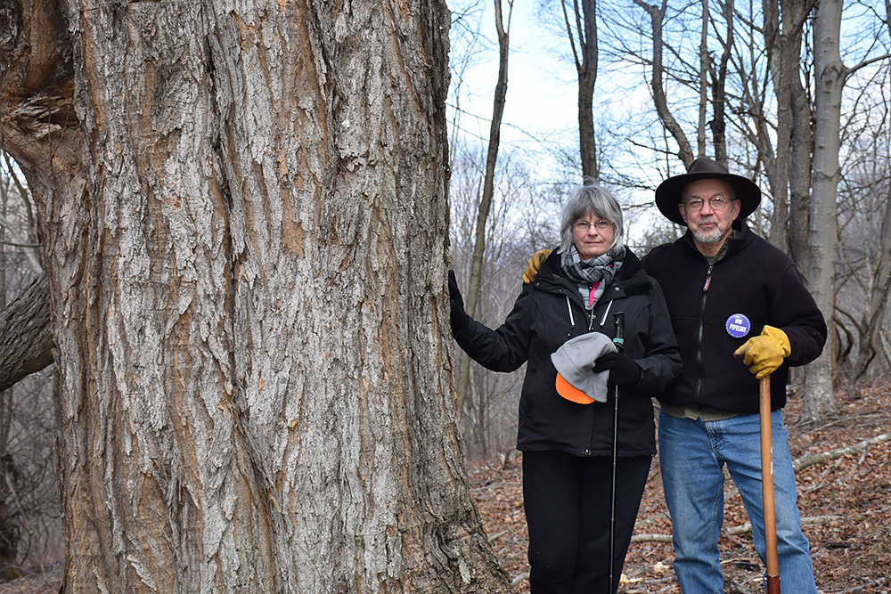 Bill and Lynn Limpert by tree