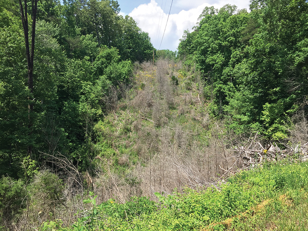 power line right-of-way spraying