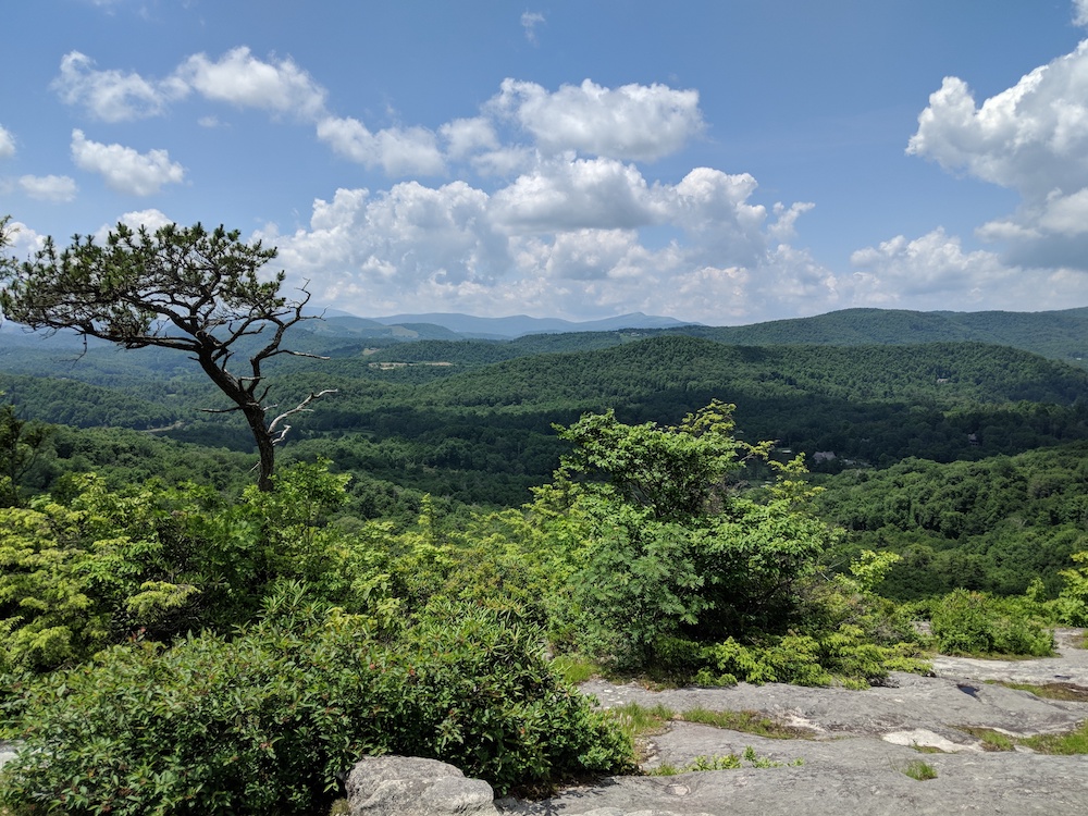 View of Pisgah National Forest