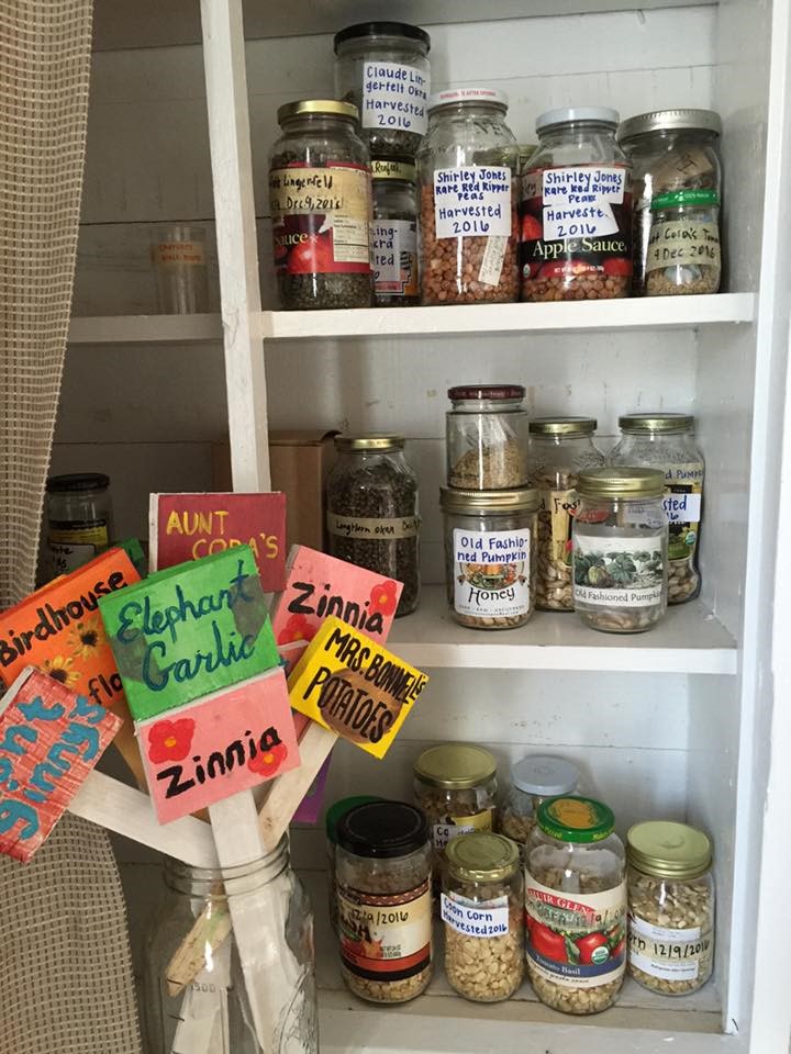 Seed saving supplies stored in a cool space away from direct light. Photo courtesy of Rosann Kent.