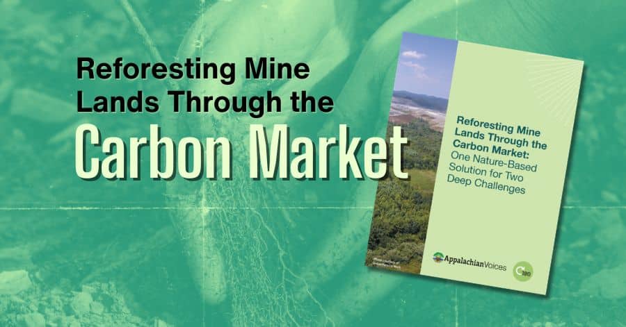 Reforesting Mine Lands through the Carbon Market-Main