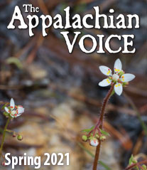 2021-issue-1-spring