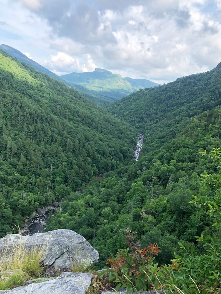 A river runs through a lush, green gorge with mountains in the distance.