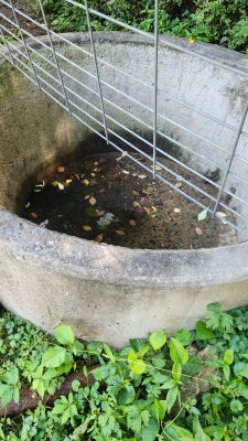 A cement watering trough stands empty and dry.