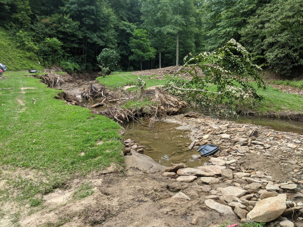 Debris clogs a creek through a grassy area bordered by woods.