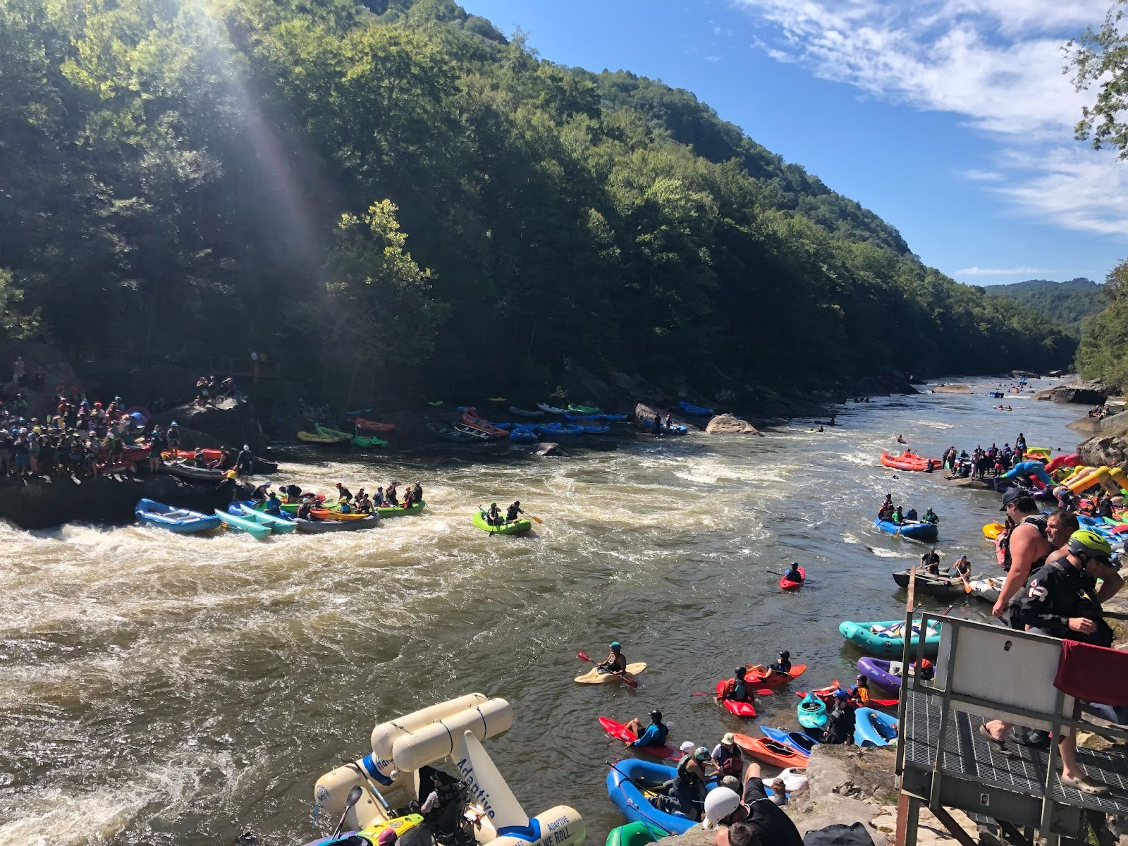 Trump administration rubber stamps bankrupt coal company’s encroachment into Monongahela National Forest