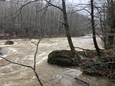This stretch of the South Fork of Cherry River is surrounded by South Fork Coal Company's surface mining operations. The brown hue to the water is caused by elevated sediment in the river. Photo by Willie Dodson