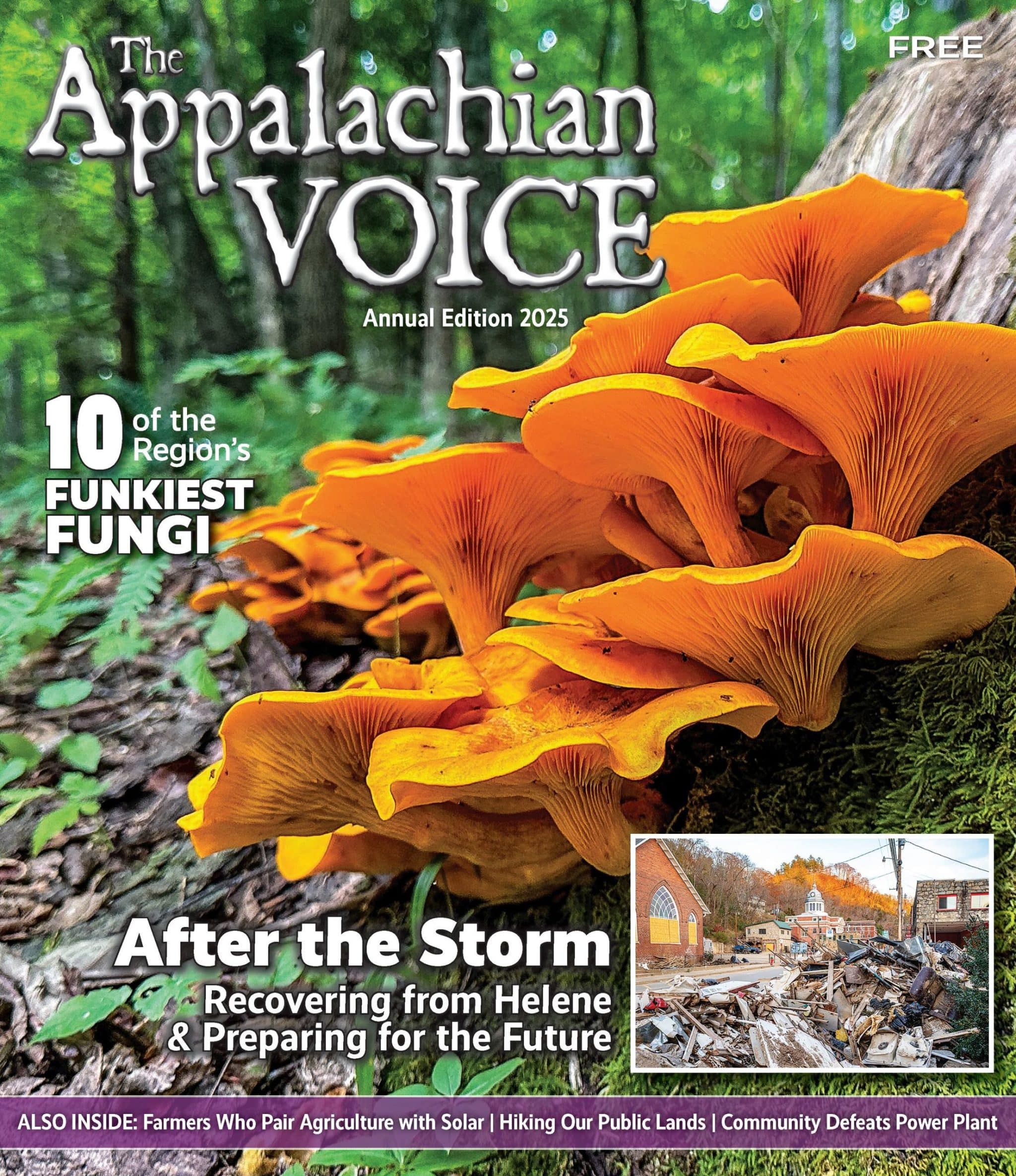Annual Print Edition 2025 of The Appalachian Voice featuring orange mushrooms
