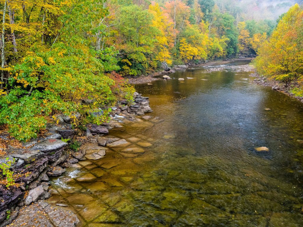 A clear waterway with rocks visible through the water and fall foliage along the banks
