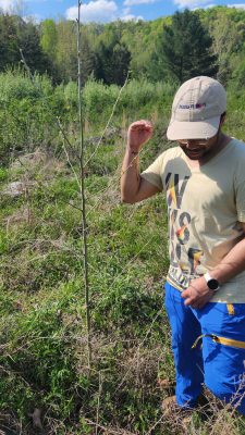Appalachian Voices staff member Quenton King examining seedling growth.