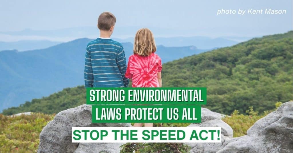 Strong Environmental Laws protect us all