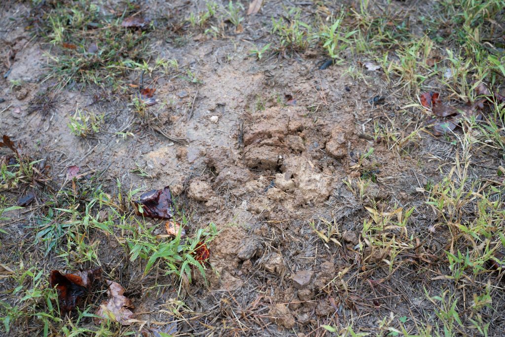 Muddy, clumpy field with little grass and some hay. “The way they've cleaned it up is — I can't mow part of my property without sliding down the hill,” says Teresa about the way her property was left after Ridgeline installed the System Alignment pipeline. “I can't mow my property without worrying about if I'm going to hit another root like I already have.” Photo by Abby Hassler, Appalachian Voices