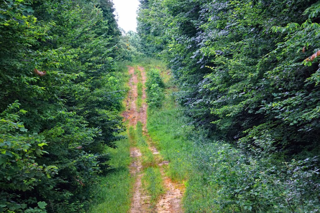 Gas pipeline right of way. “We've always had a problem keeping trespassers out, and the pipeline coming through there, it's like they're making a superhighway for four wheelers,” says Amy Sexton about her mother’s property in Morgan County, Tennessee. Photo courtesy of Amy Sexton