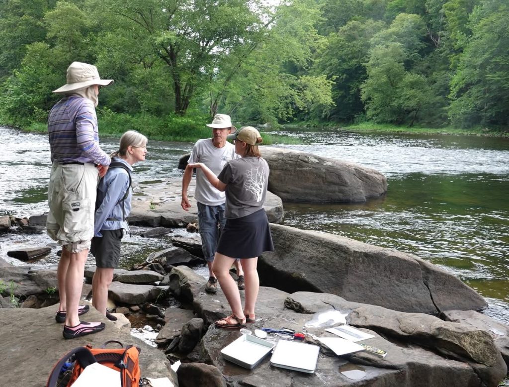 Adrianne Thackery, AFNHA Watershed and Fisheries AmeriCorps member, led a nature walk for the Greenbrier River Watershed Association in the Monongahela National Forest. Photos by Louanne Fatora, GRWA coordinator
