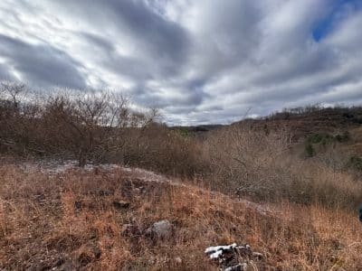 Quarry Drive. Photo by Dan Radmacher