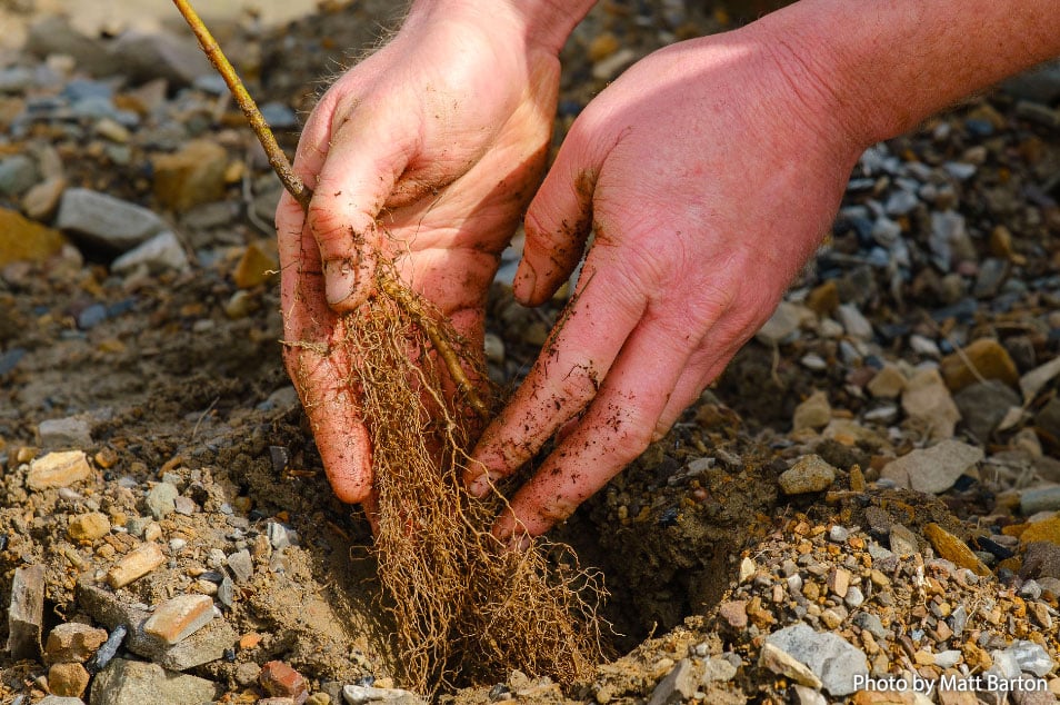 Photo by Matt Barton