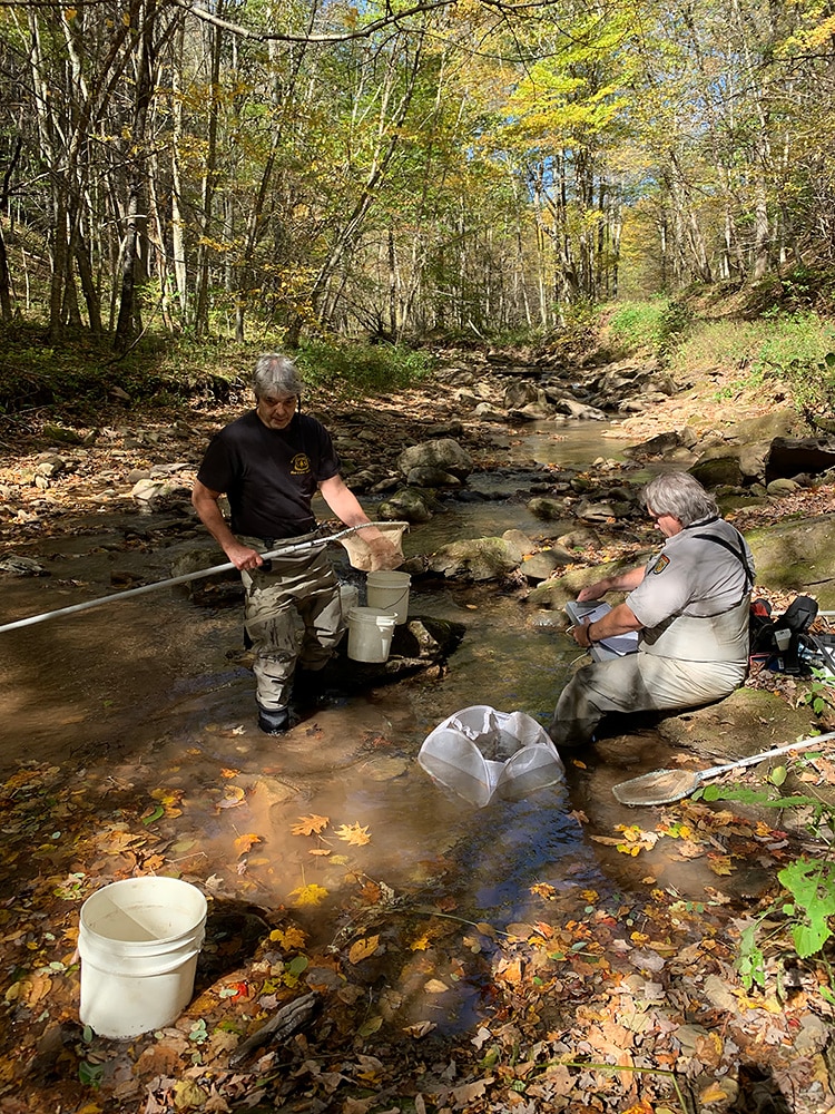 West Virginia Division of Natural Resources biologists take samples from one of Jeff Eisenbeiss’s native trout streams in October 2021.