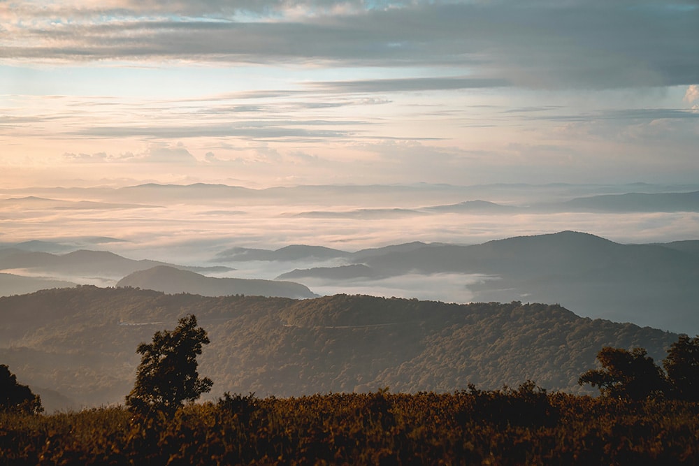 The view from the top of Black Balsam Knob. Photo by Darrell Moore on Unsplash