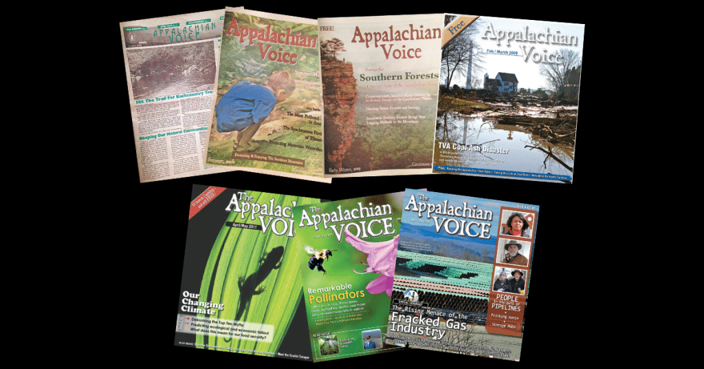 Compilation of past Voice newspaper covers