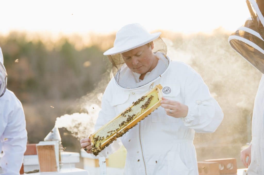 Man in beekeeping suit holds beekeeping tray