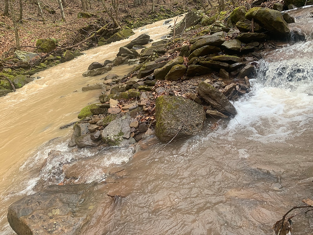 A clear-running stream on Eisenbeiss’s property runs into Panther Creek, which is filled with sedimentation from haul-road runoff in 2022.