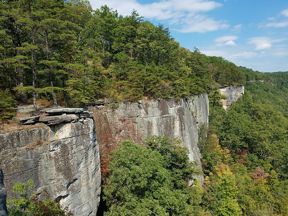 The Endless Wall Trail is located in the New River Gorge. Photo courtesy of John Chapman and the National Park Service