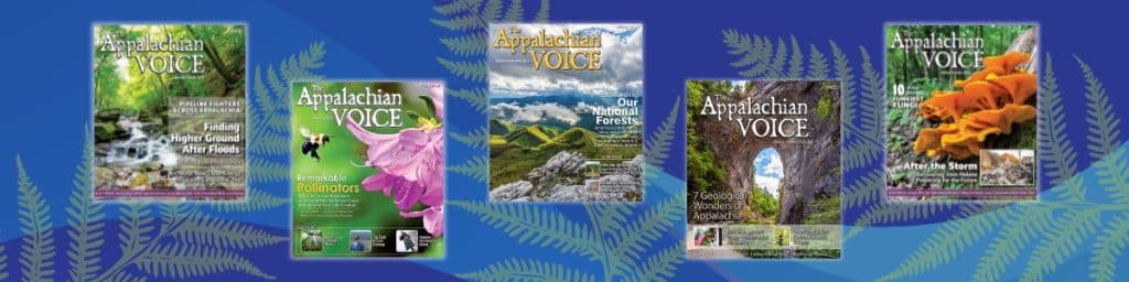 multiple covers of The Appalachian Voice