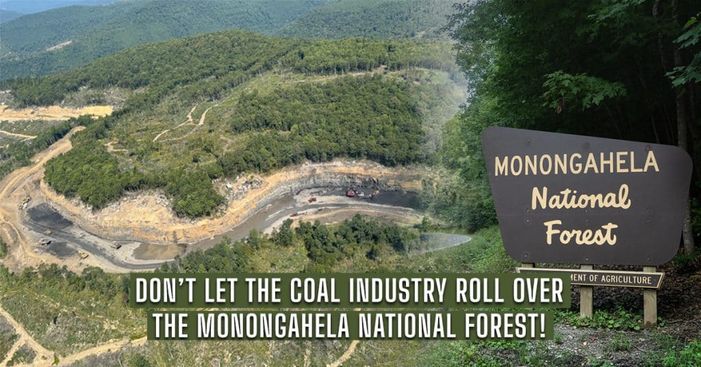 Don't let the coal industry roll over the Monongahela National Forest