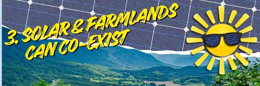 Solar and farmlands can co-exist