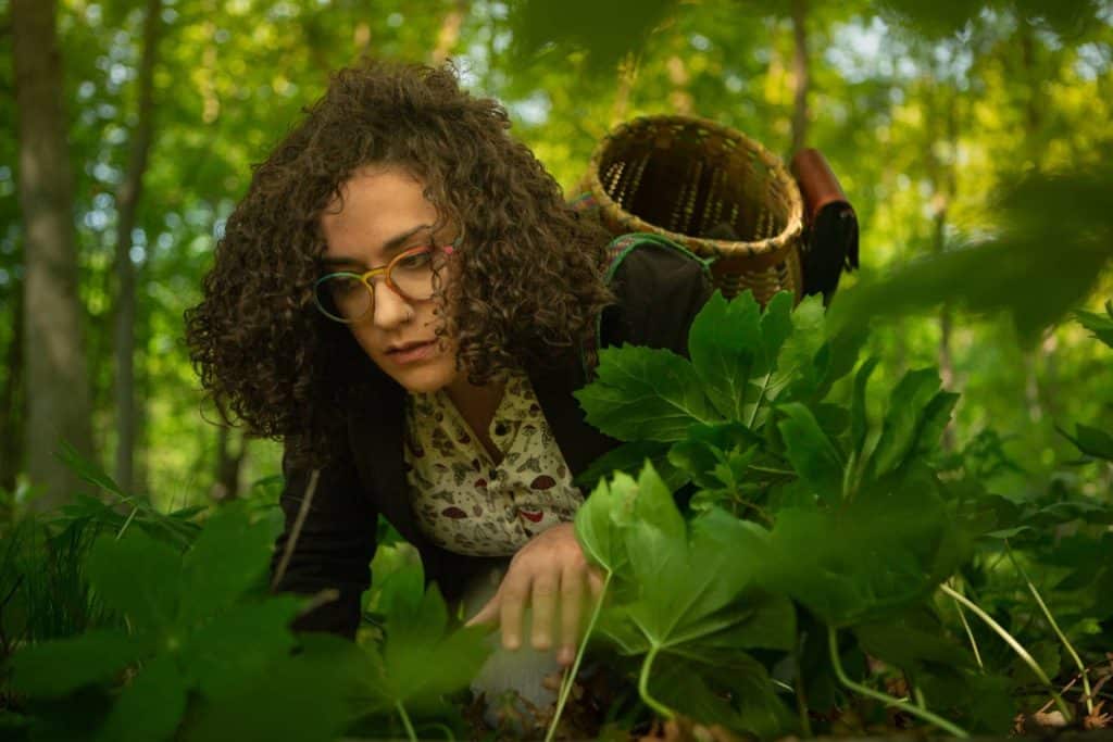 Gabrielle Cerberville, a foraging content creator with curls, multi-colored glasses and a shirt with mushroom cartoons on it, forages in a greenery filled area with a wicker-looking basket on her back