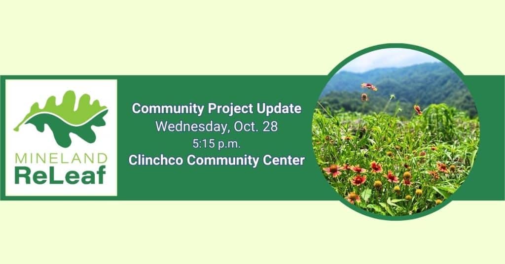 A green and light yellow banner for Mineland ReLeaf featuring the organization’s leaf logo on the left and a circular photograph of a wildflower meadow with forested mountains in the background on the right. Center text announces a “Community Project Update” on Wednesday, Oct. 28, at 5:15 p.m. at the Clinchco Community Center.