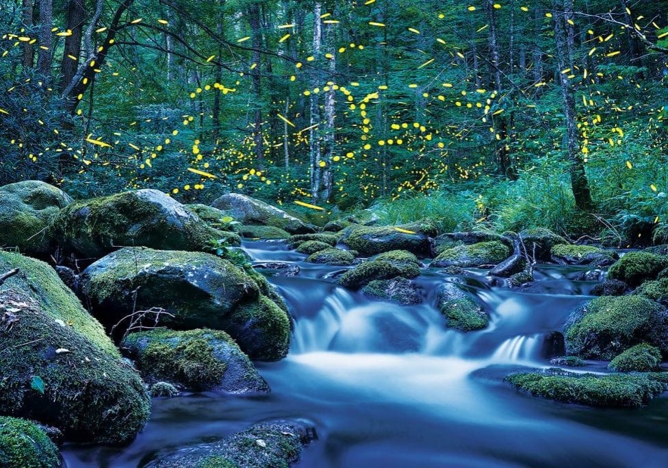 Fireflies dot the forest above a flowing stream.